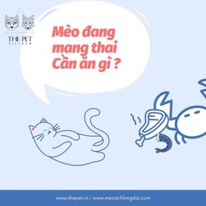 91931396 995986804130289 8668365573907808256 n