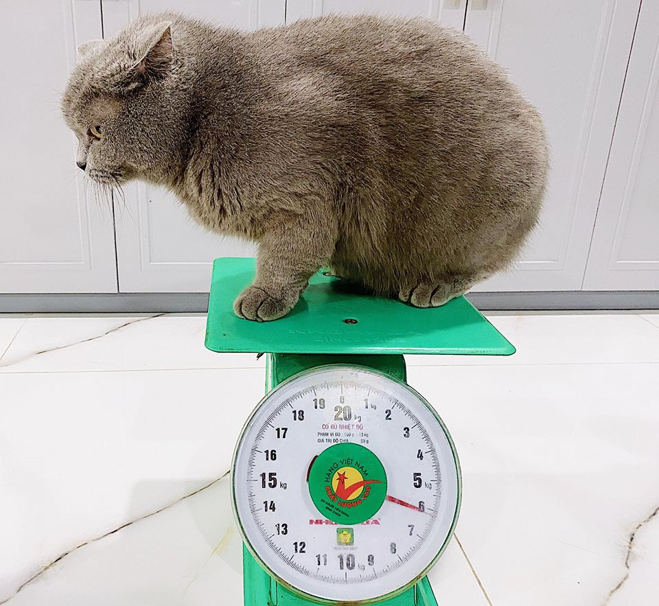 93166688 220834446016448 3158483150925987840 o