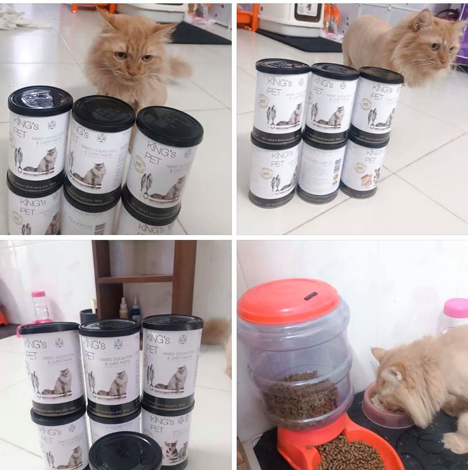 93244113 220834646016428 2513497715833307136 o