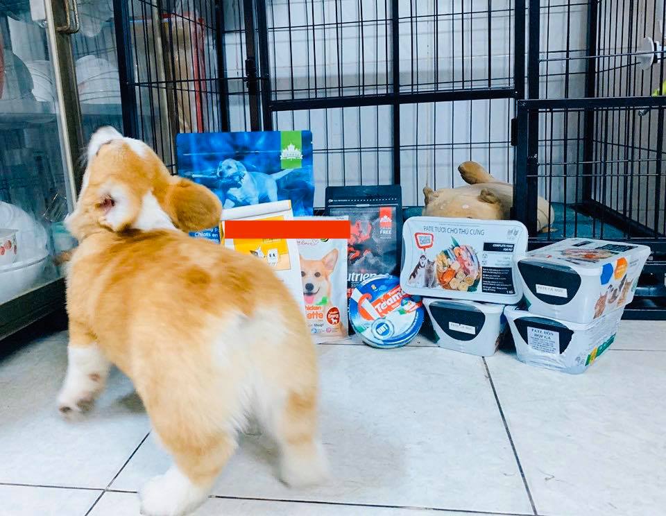 93407251 220834469349779 5665771160093065216 n