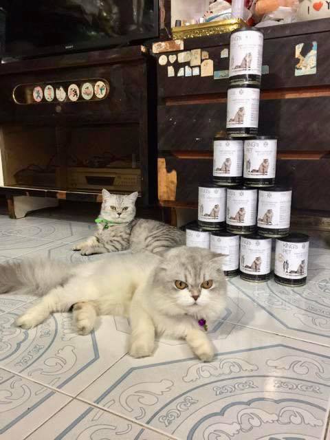 93702752 220834622683097 2524053487021457408 n