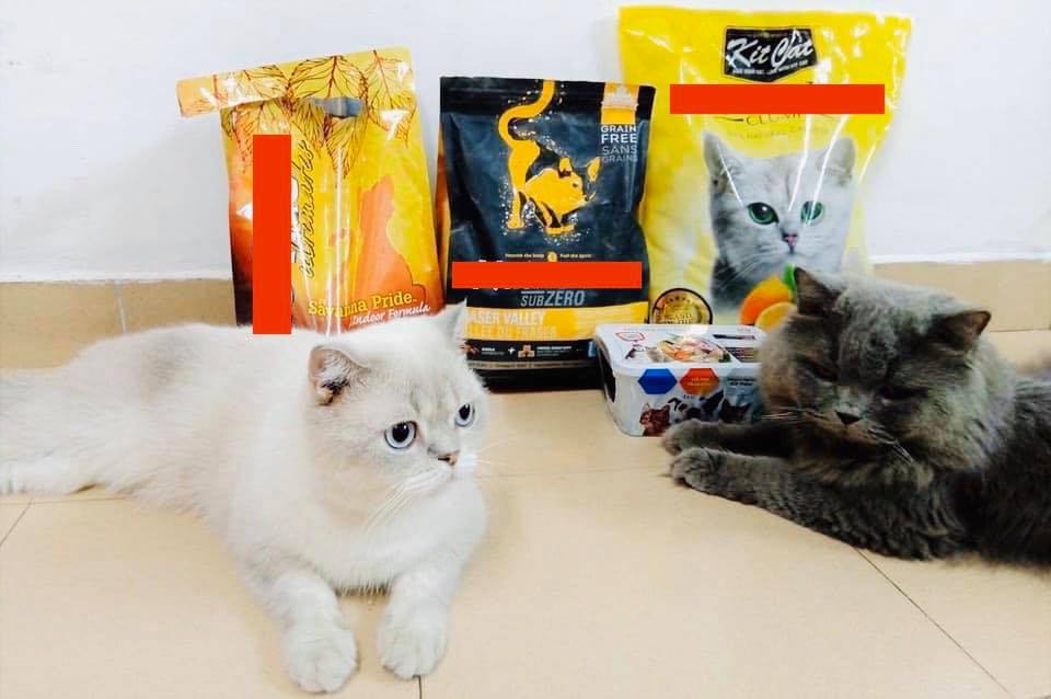 93888717 220834422683117 316500941815676928 n