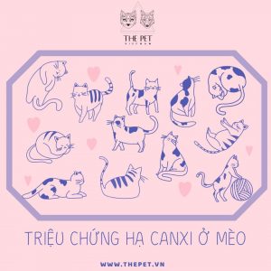 94120095 1007143993014570 7944363520936640512 n