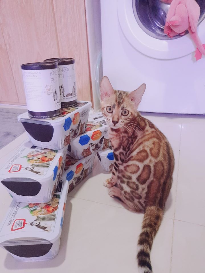 94351088 220834522683107 5748350573602668544 o