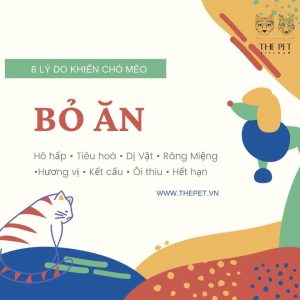 95226348 1013179089077727 3907051025260871680 n