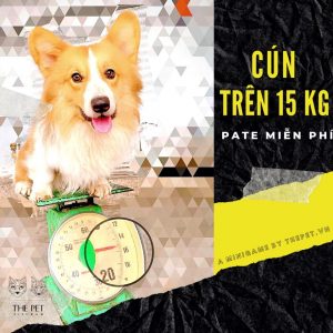 96150320 1022825948113041 2535417695608766464 n