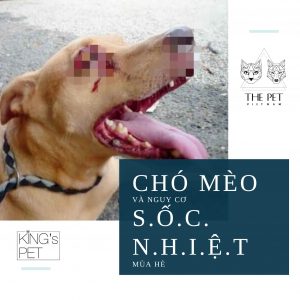 99359021 2559960594322058 1319996157623009280 n