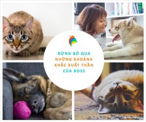 102442864 1152728648420481 6736791366390105122 n