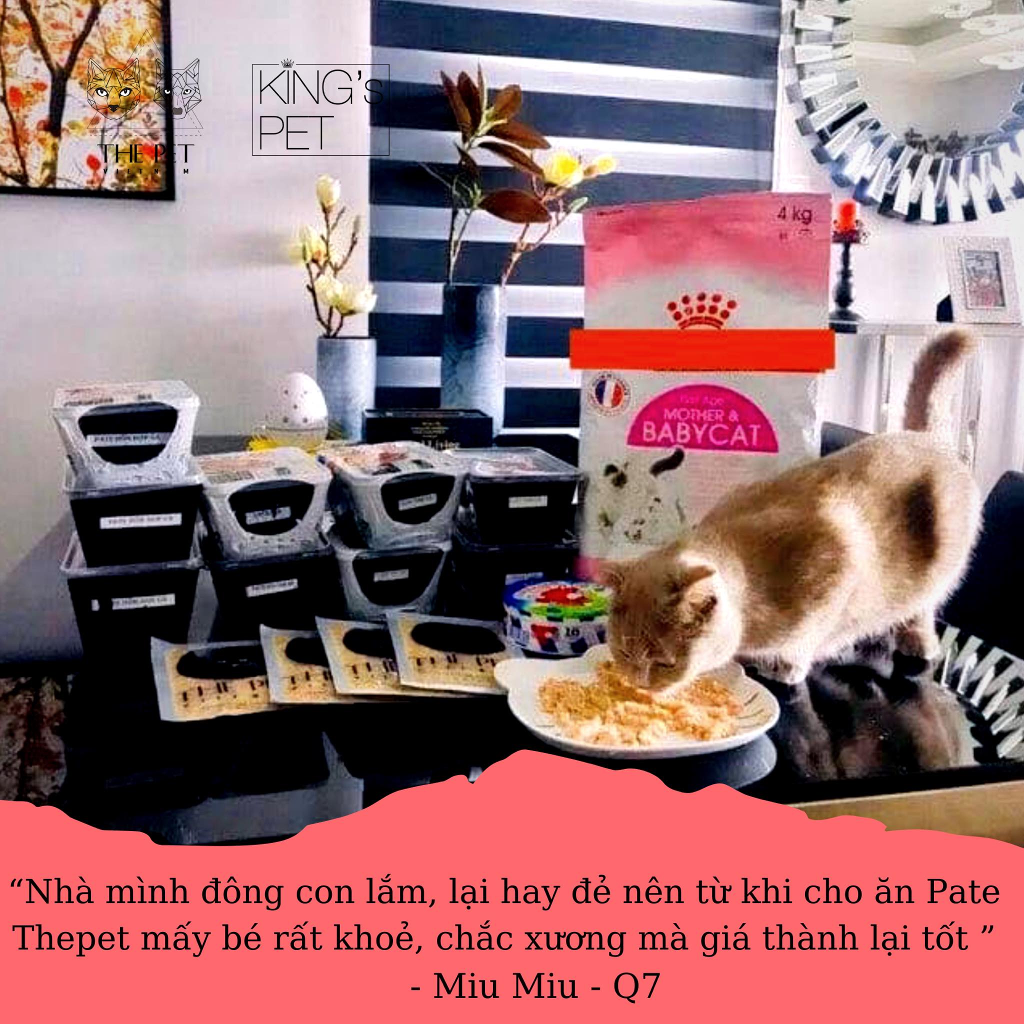 107376457 2824735081183489 2183554611762588925 n