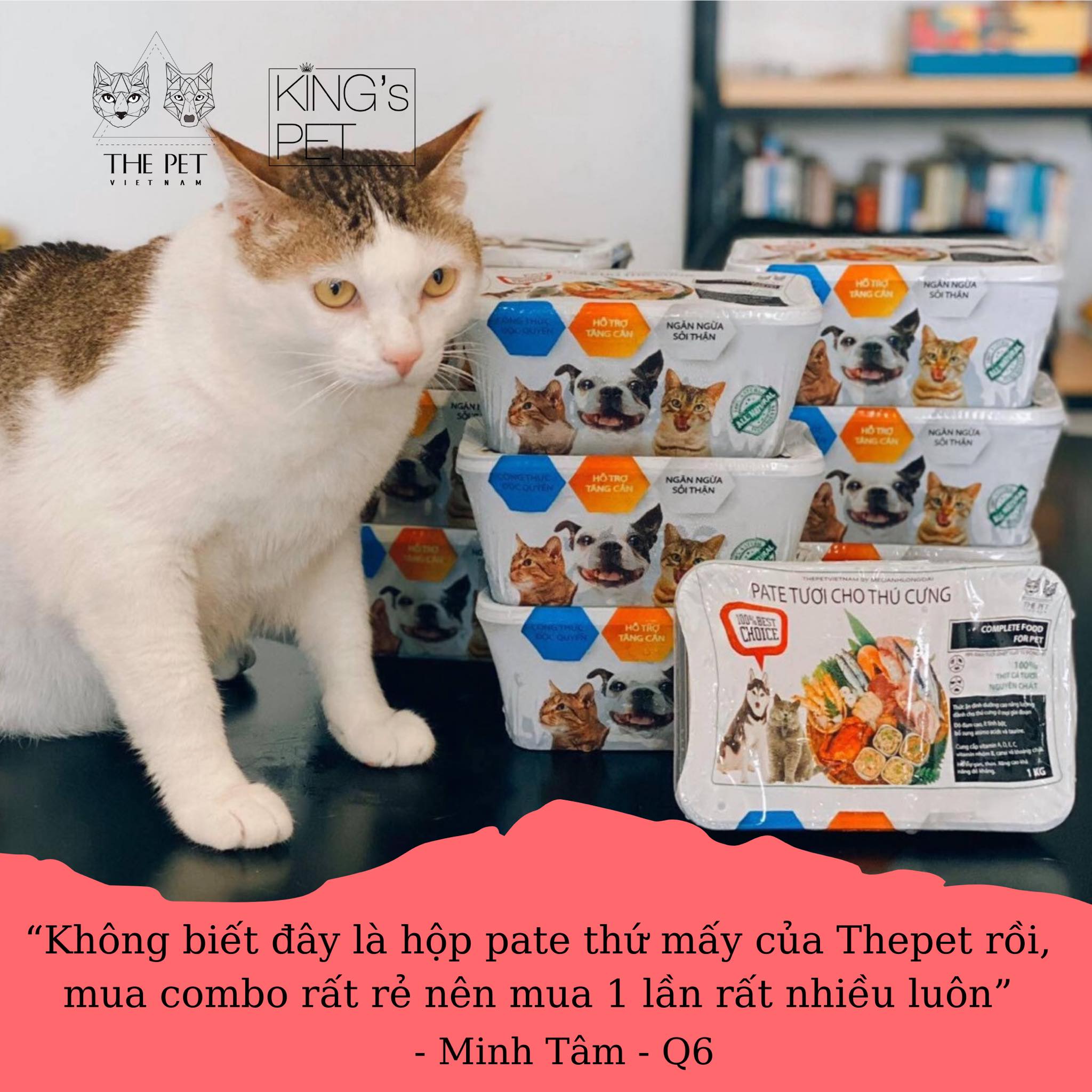 107399163 2715032061932098 6748572751415546518 n