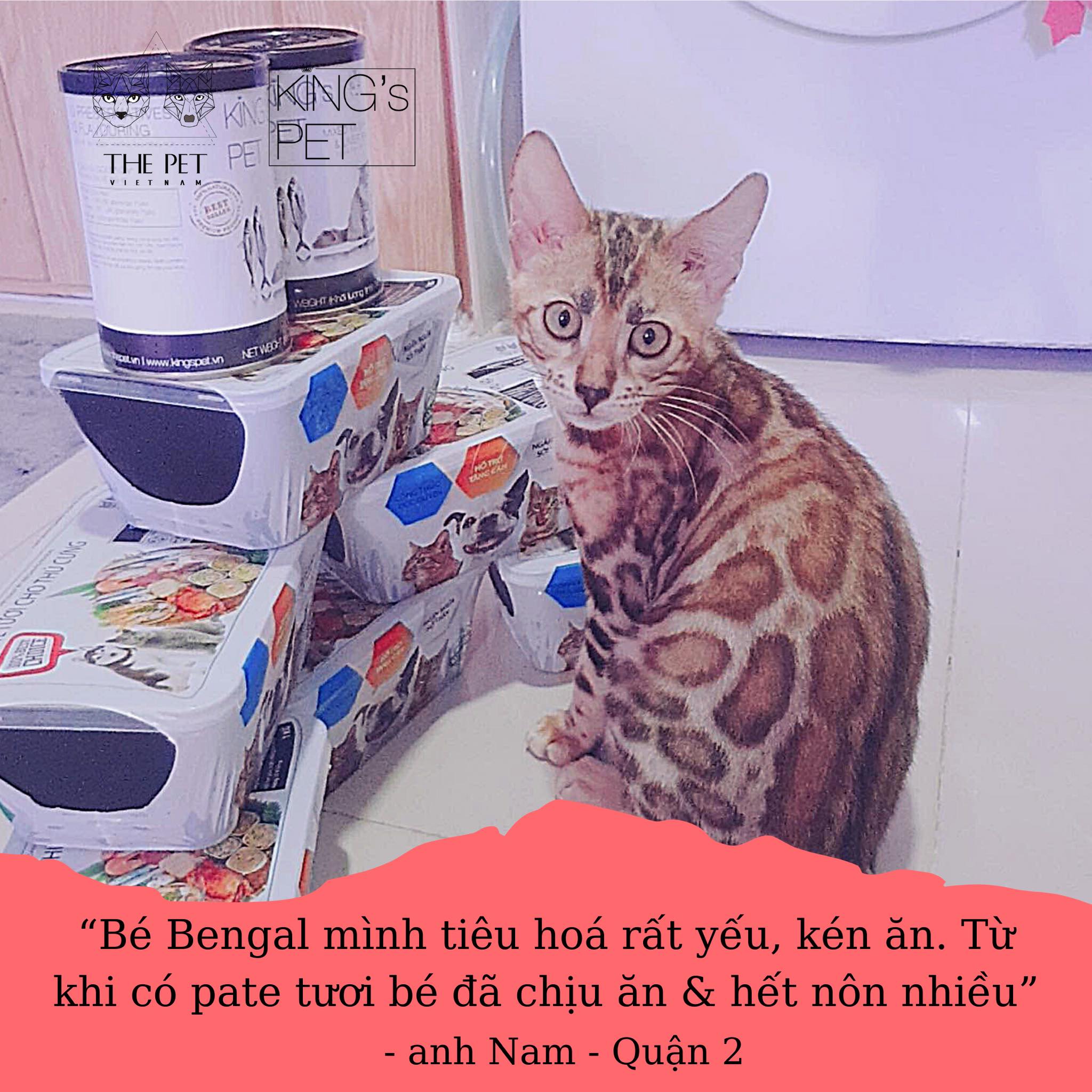 107403160 3050584738391886 7928475945837580249 n