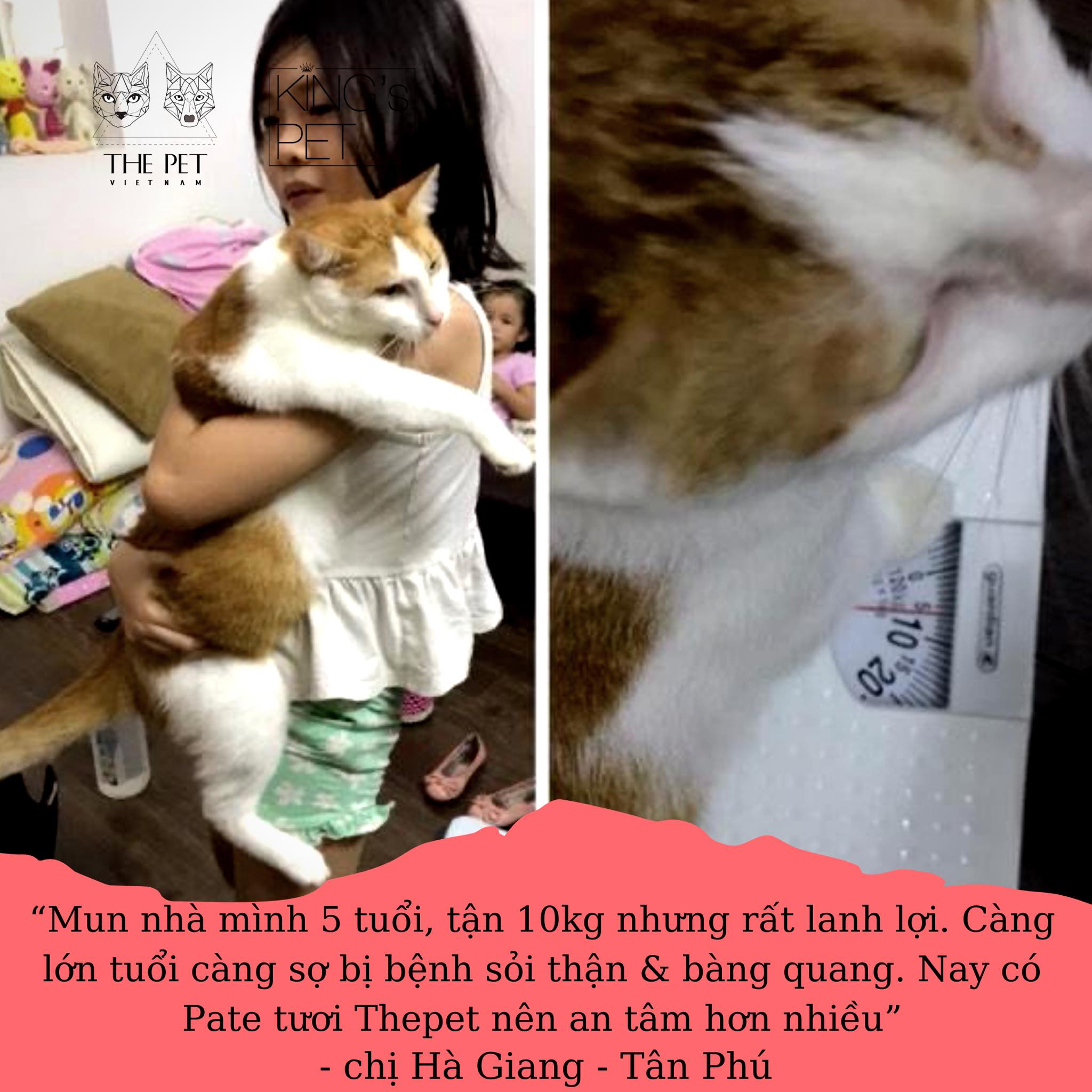 107415529 308228226974477 3917750870102103596 n