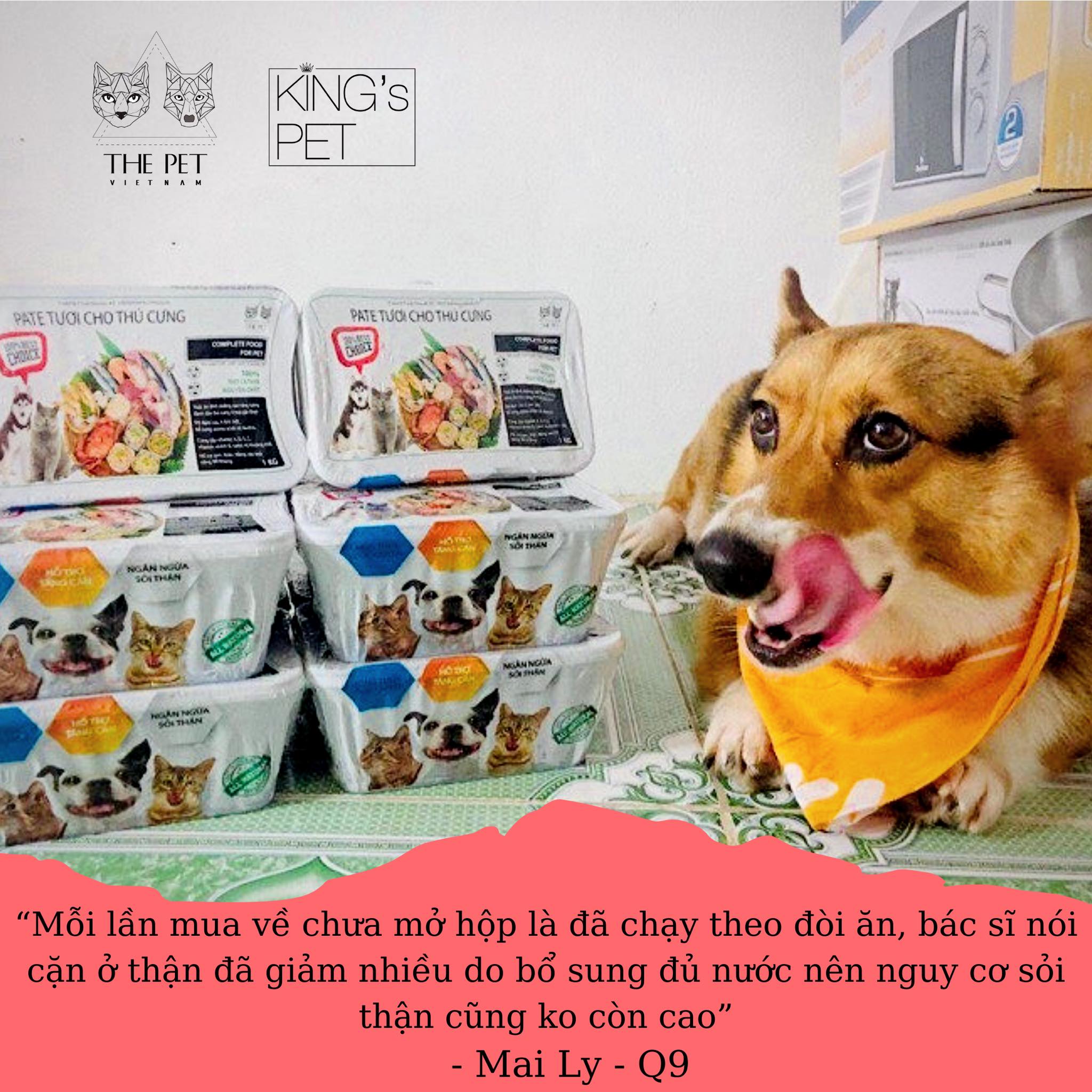 107454330 614942132773667 5116990034264965641 n