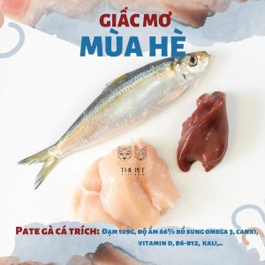 thức ăn mềm cho chó