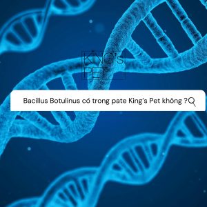 118698600 1040088503127748 7425807627629155988 n