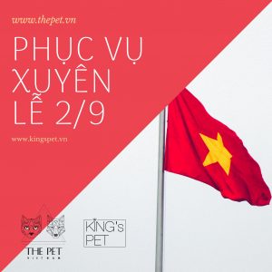 118700297 753799822084559 3146461790917122850 n