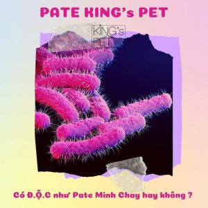 118766586 1114707628924872 122398634402690153 n