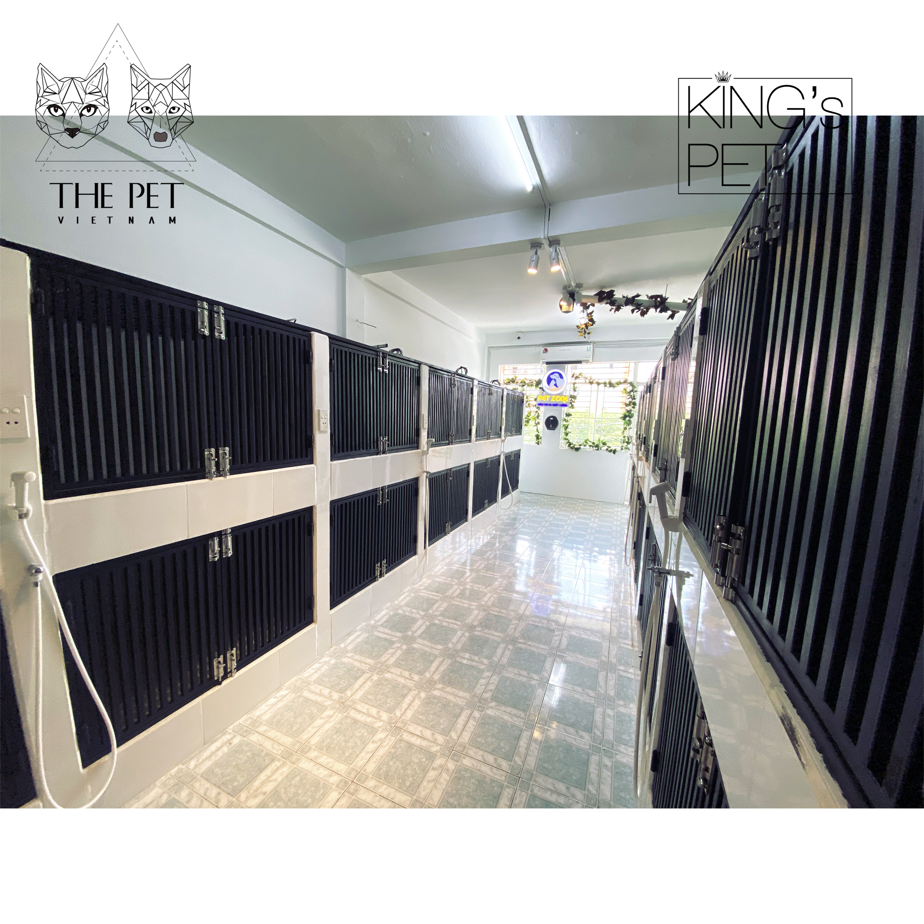 PETZONE QUẬN 8 - GƯƠNG MẶT VÀNG TRONG LÀNG THÚ Y 3 IMG 6958 2