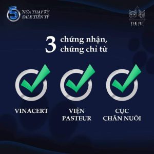 121128667 1141018249627143 2062137151185030886 n