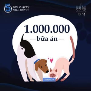 121196381 1141018182960483 339229121718557542 n