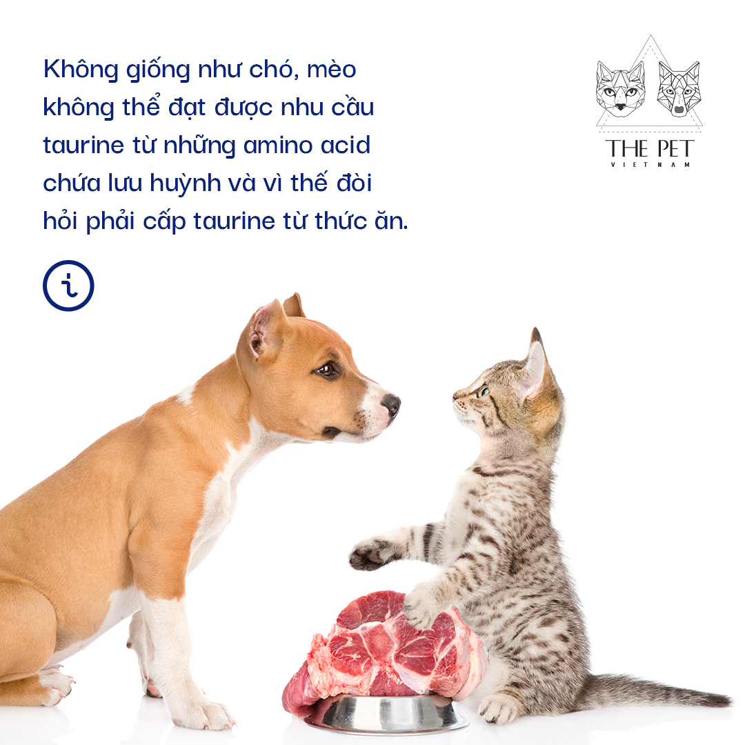 Nguyên liệu tươi trong pate tươi chó mèo Thepet.vn 2 Nguyên liệu trong pate tươi chó mèo Thepet.vn