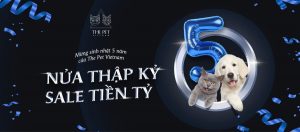 701a65acdced22b37bfc