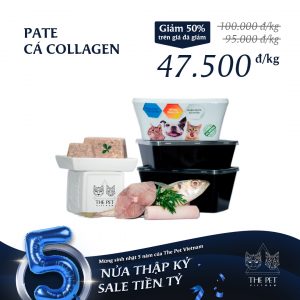 ca collagen 1