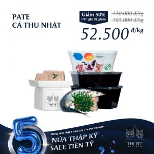 ca thu Nhat 1