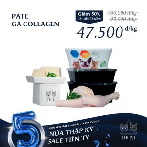 ga collagen