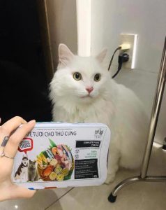 126866570 1177905365938431 9208716549045109989 n