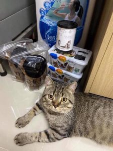 128526763 1182970292098605 9157964949539180225 n