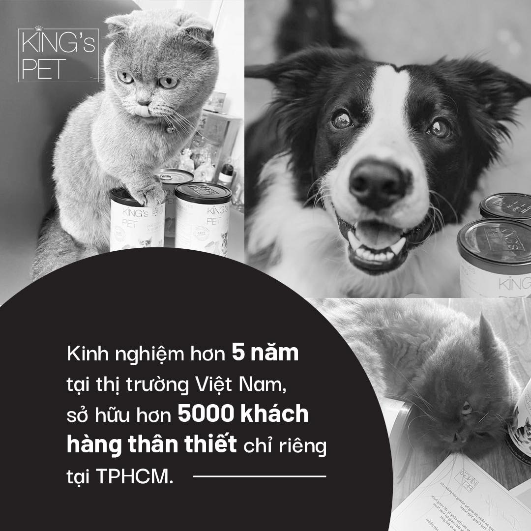 131304737 1270960216617616 5187721091123998619 n