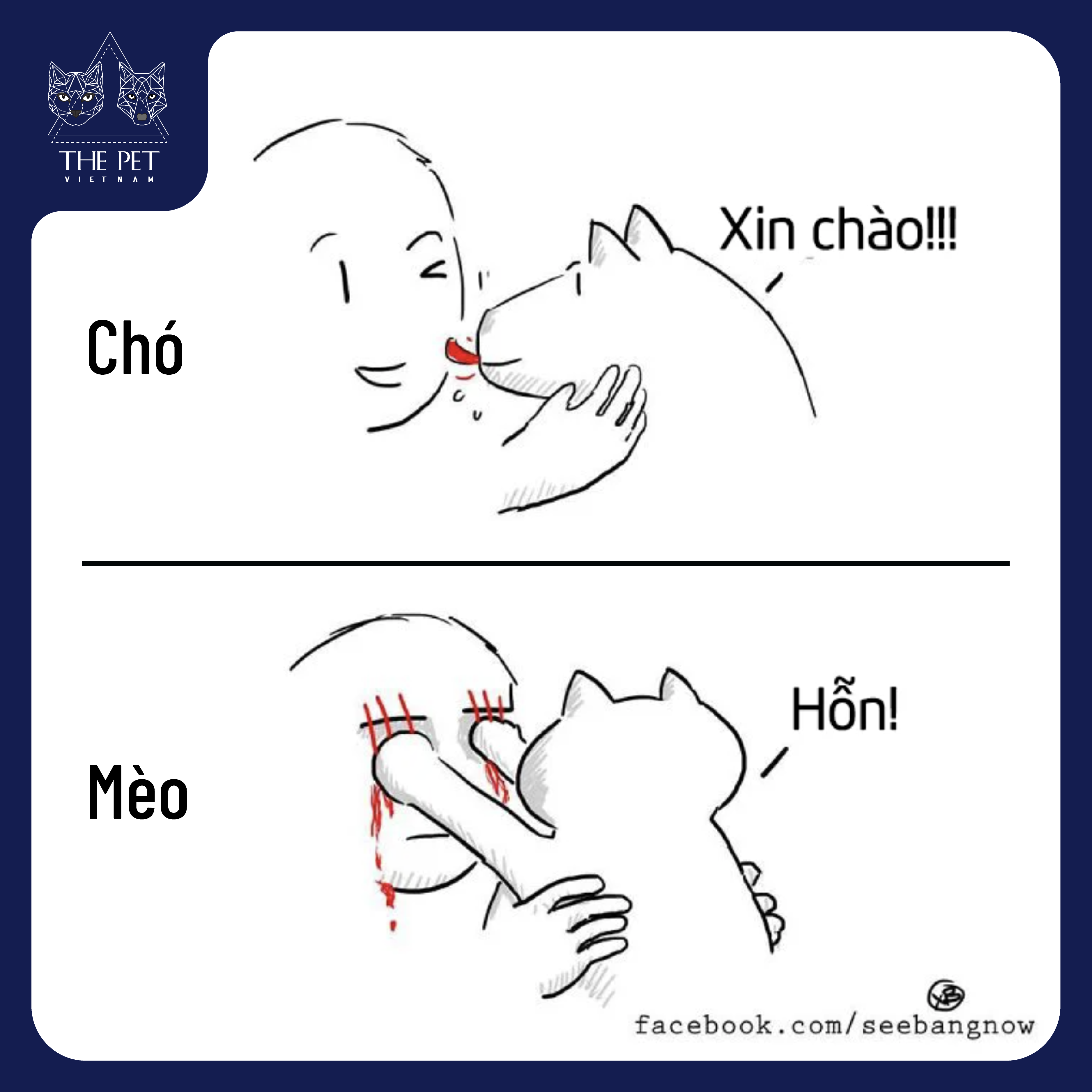 Điểm khác biệt thú vị giữa chó và mèo 2 201118 KhacBietGiuaChoVaMeo 1
