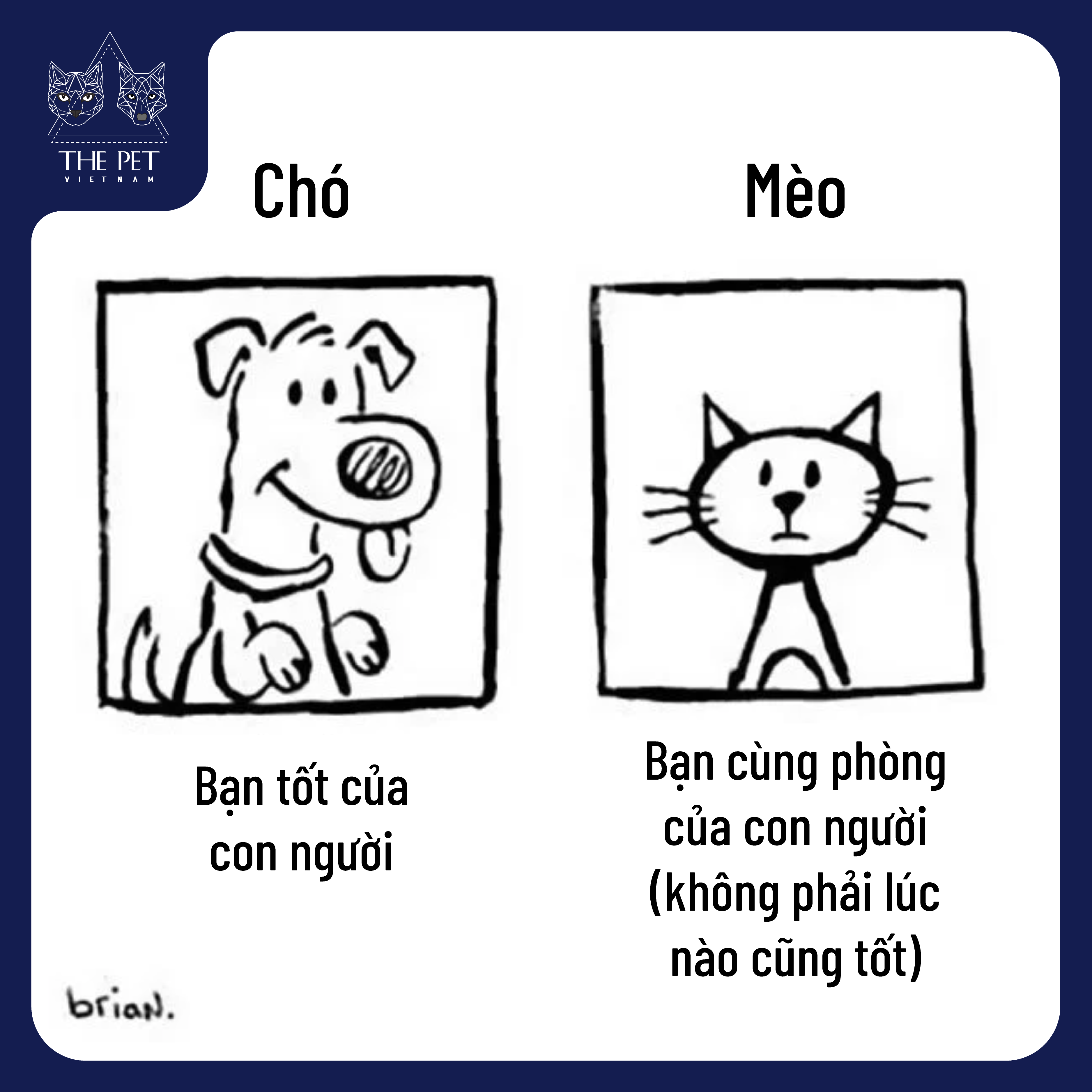 Điểm khác biệt thú vị giữa chó và mèo 3 201118 KhacBietGiuaChoVaMeo 2