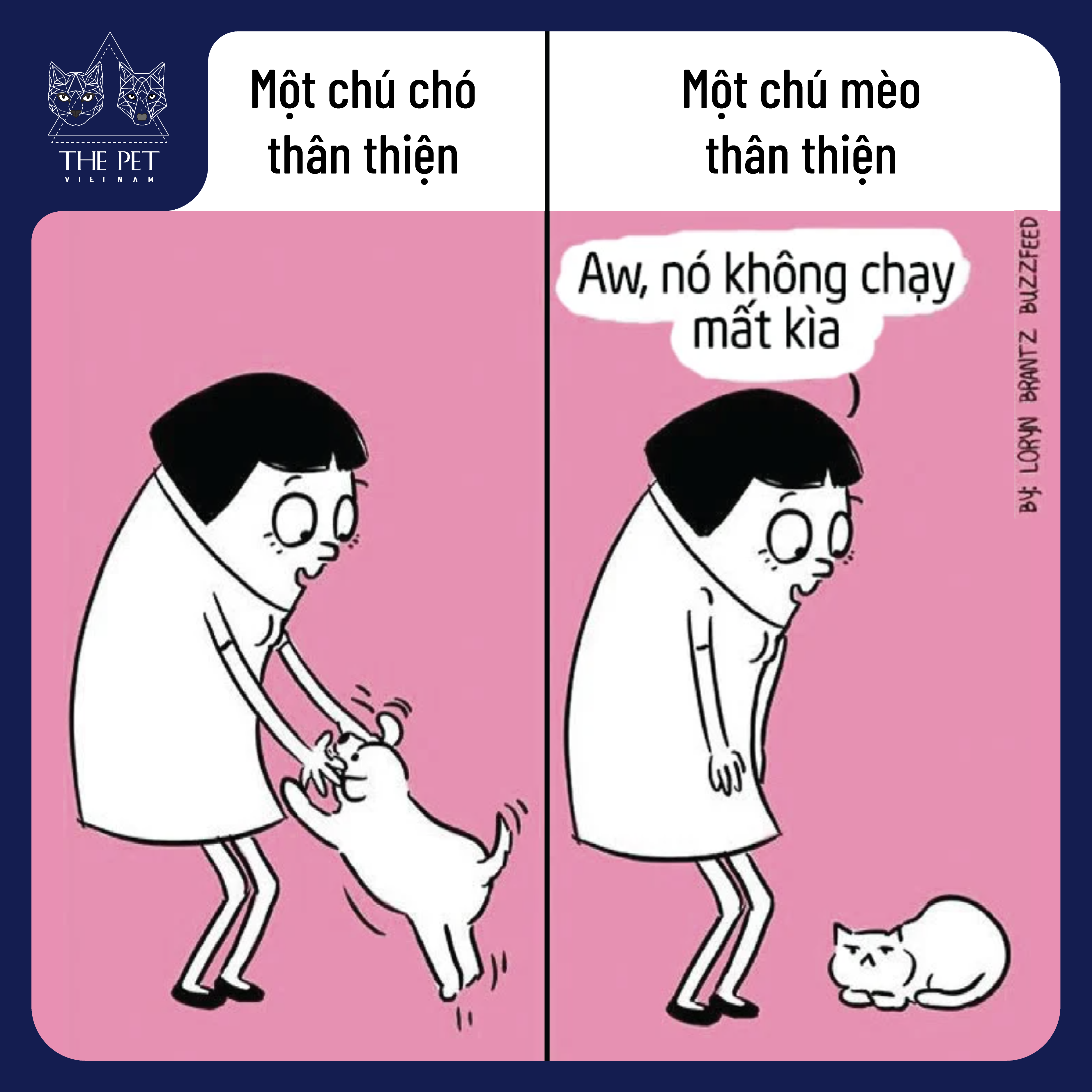 Điểm khác biệt thú vị giữa chó và mèo 5 201118 KhacBietGiuaChoVaMeo 4