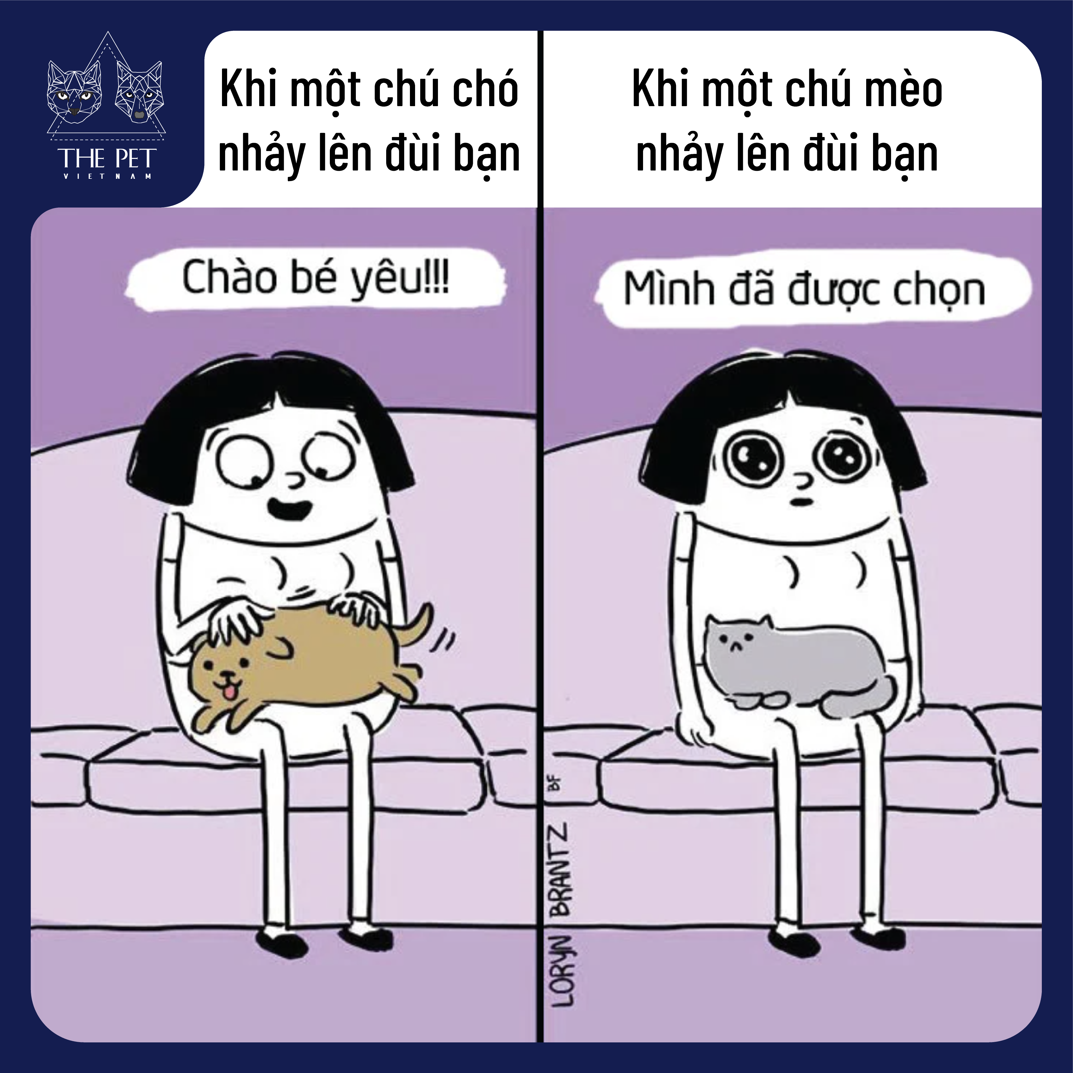 Điểm khác biệt thú vị giữa chó và mèo 6 201118 KhacBietGiuaChoVaMeo 5