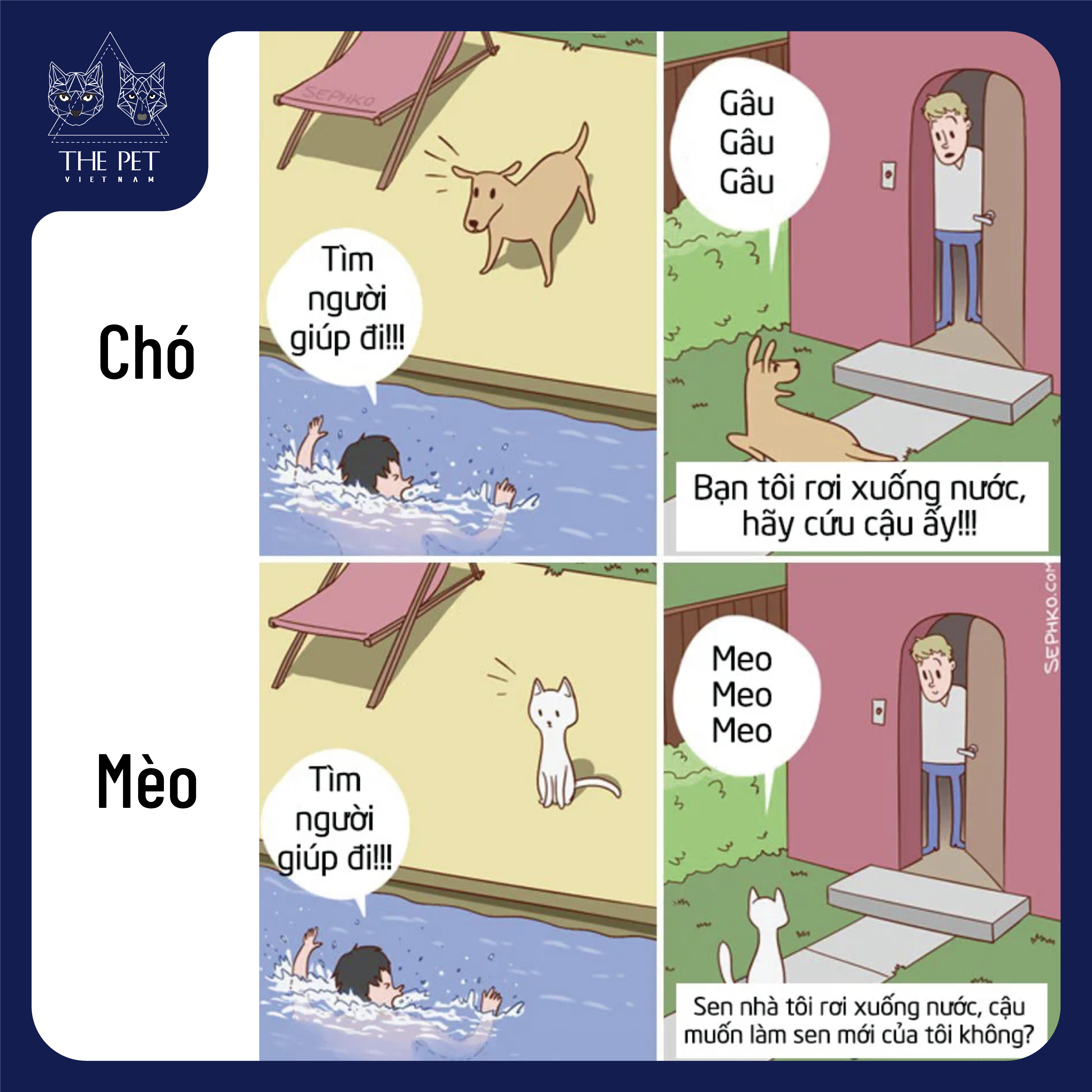 Điểm khác biệt thú vị giữa chó và mèo 7 201118 KhacBietGiuaChoVaMeo 6