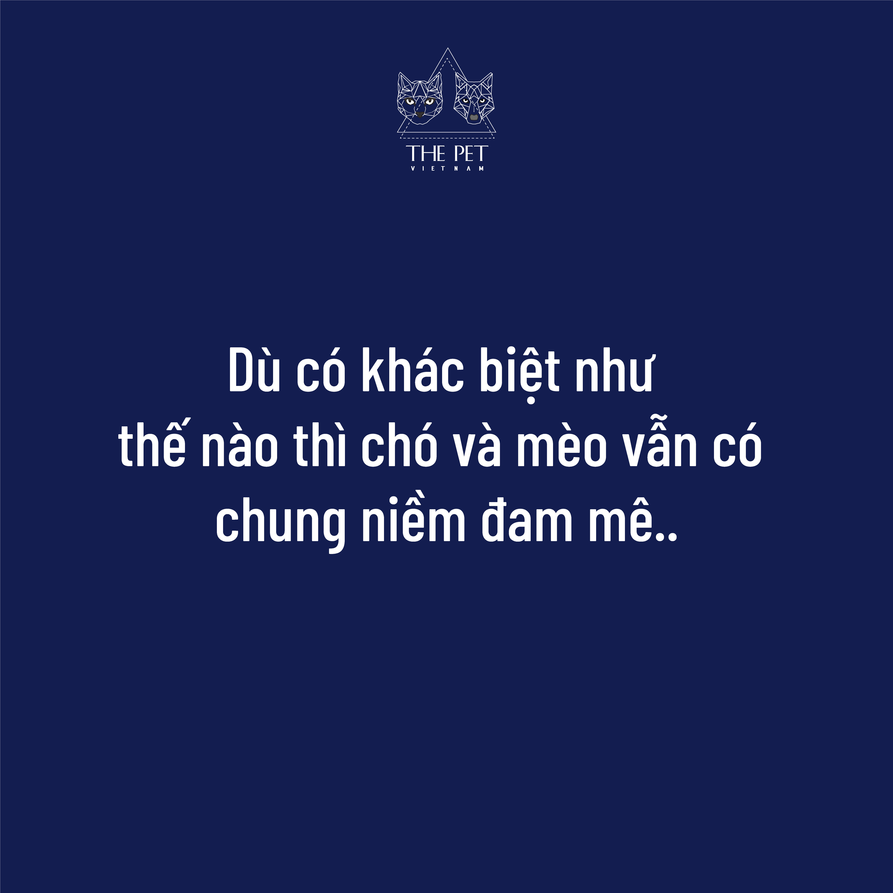 Điểm khác biệt thú vị giữa chó và mèo 9 201118 KhacBietGiuaChoVaMeo 9