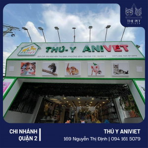 201217 ThuYAniViet 1