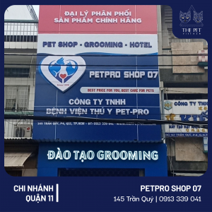 136683457 917841542365994 9013329527102192661 n