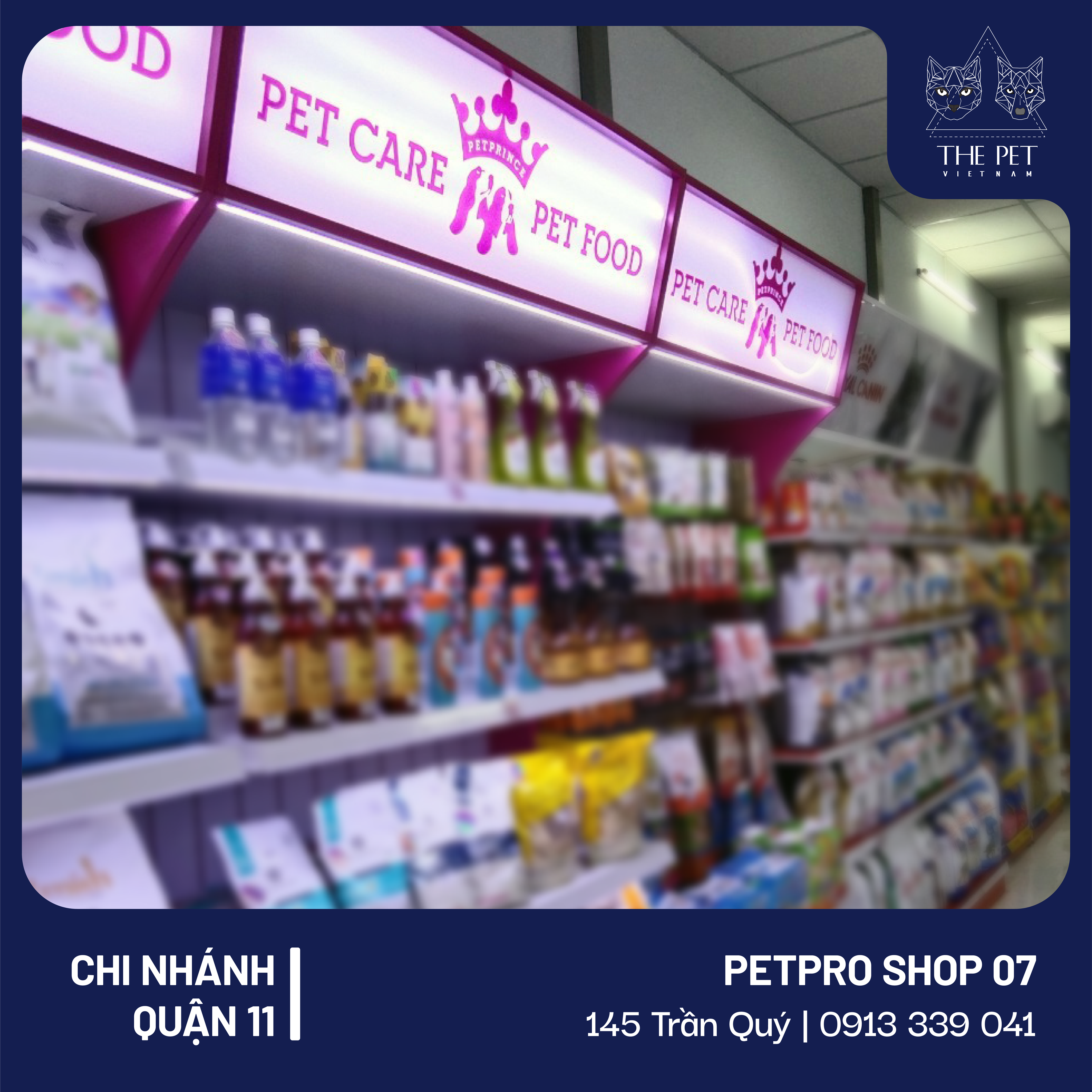 137003988 1039715546439297 3154578804244973324 n