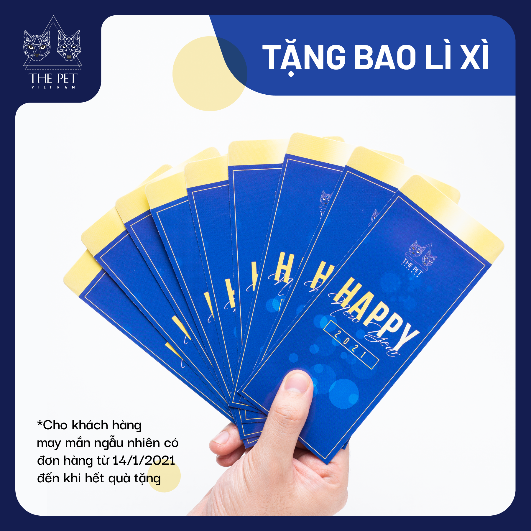 138612634 745991059455412 7942664594187155159 n