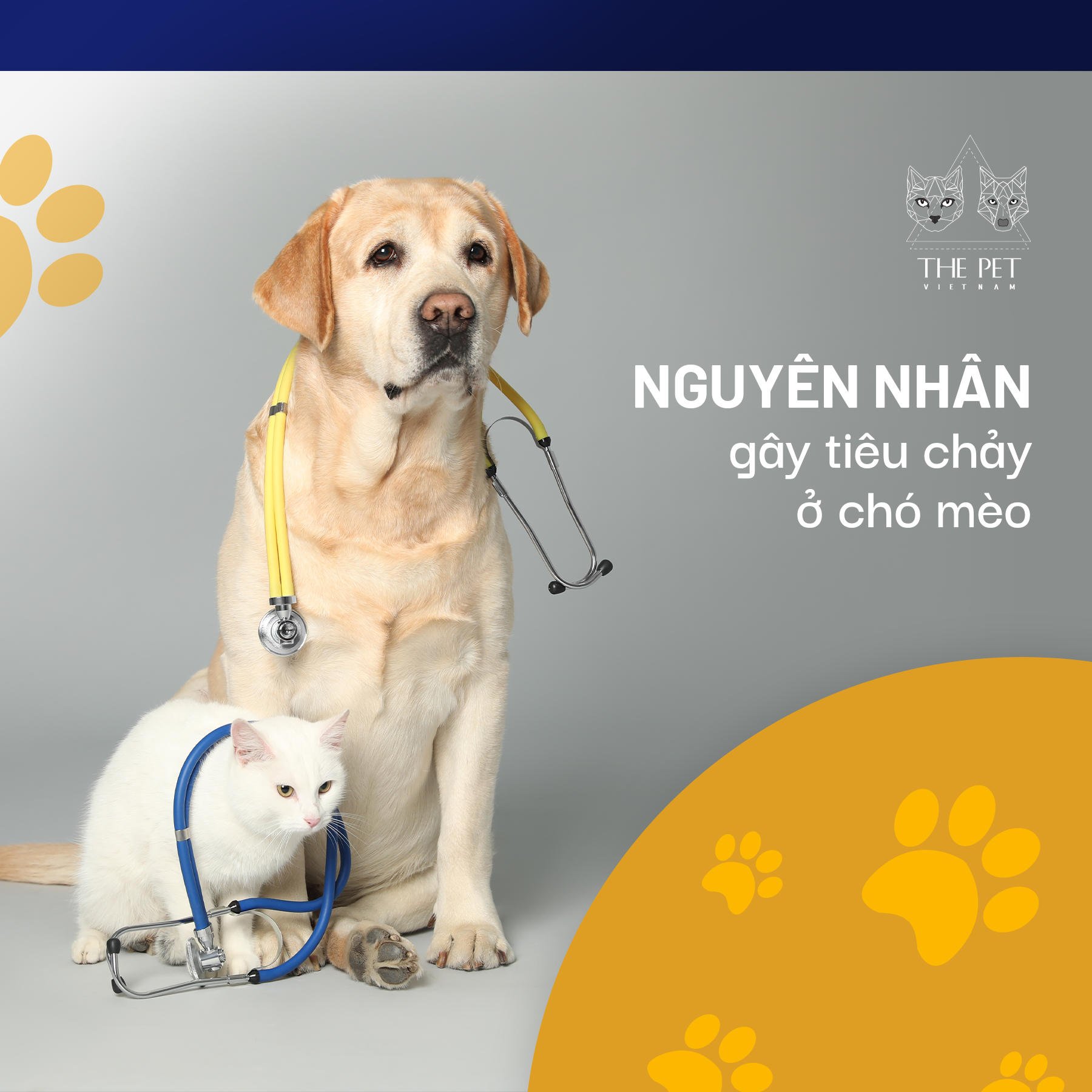 210106 NguyenNhanGayTieuChay