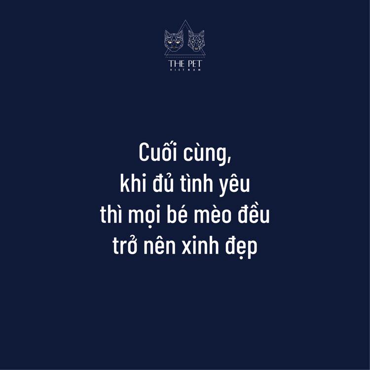 146186273 1883263971844590 5707906123036054028 n