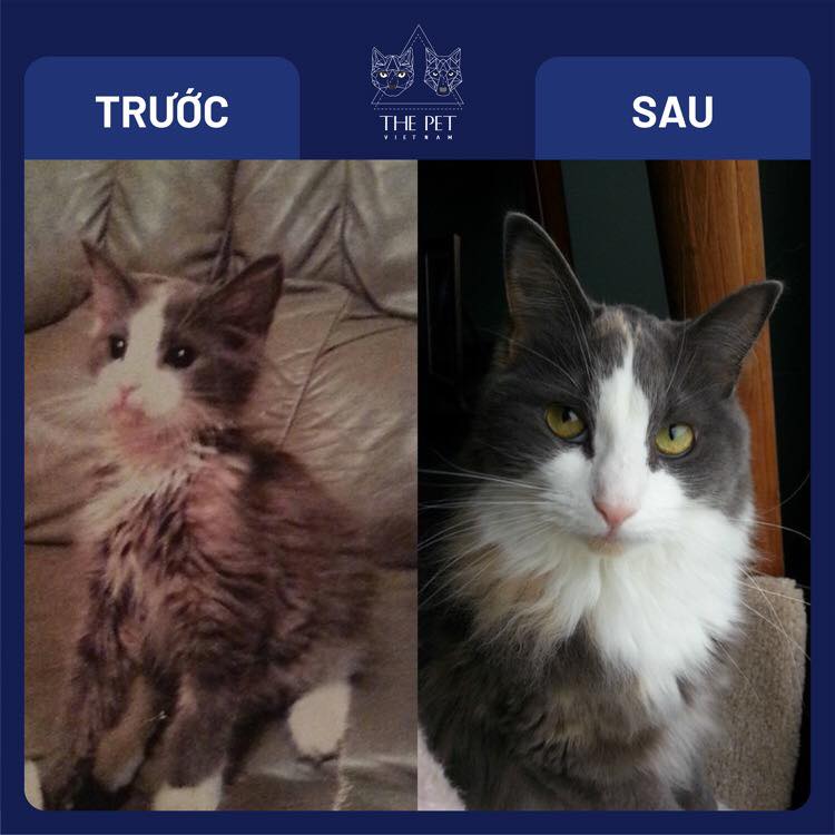 146605664 1883263905177930 3860591565444532018 n