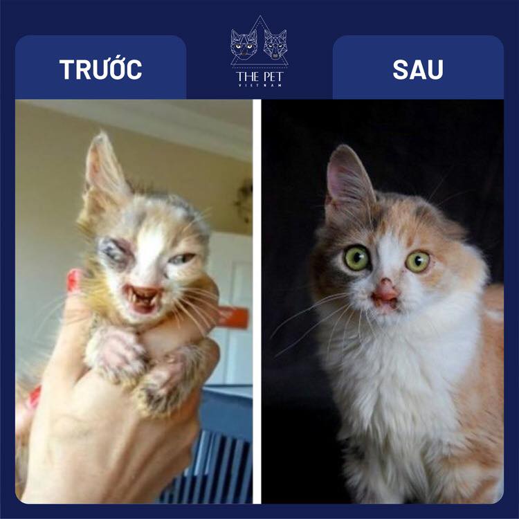 147046378 1883263938511260 2550645904894276096 n