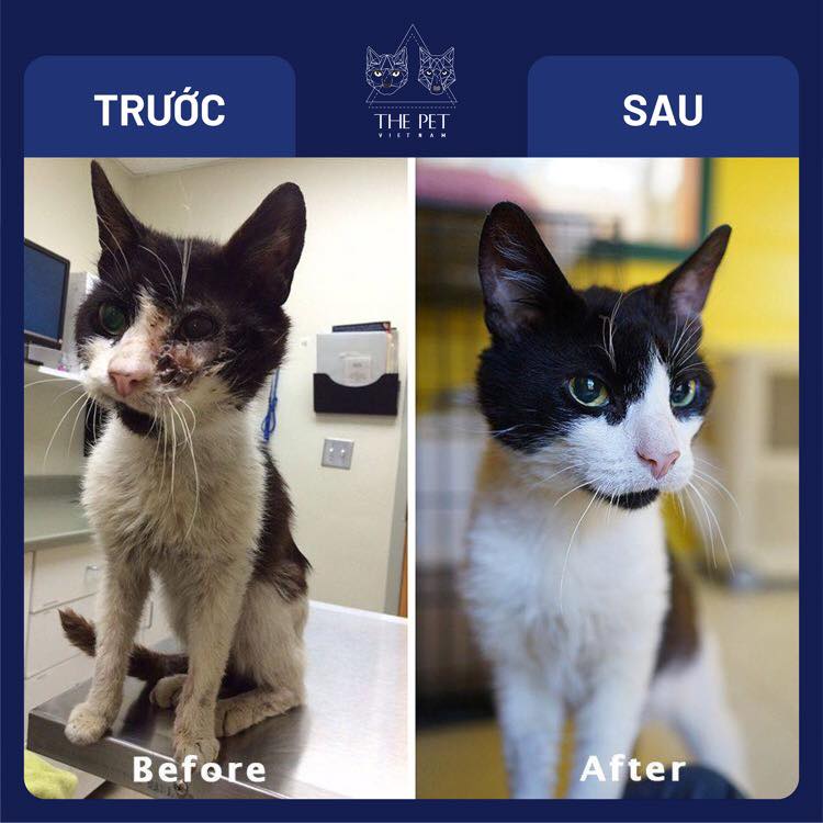 147621229 1883263908511263 3462473389193149035 n