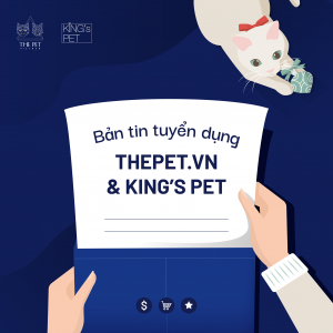 150133086 900160140730425 447831252452643732 n 1