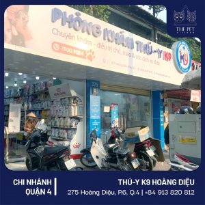 150171194 1887838318053822 7721281873240976071 o