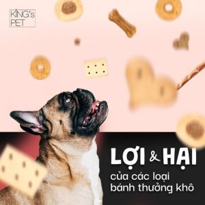 150935027 1237695373292763 2277574691835814417 o